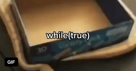 Image result for While True Malloc Meme