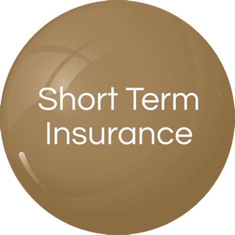 Short-Term Insurance 的图像结果