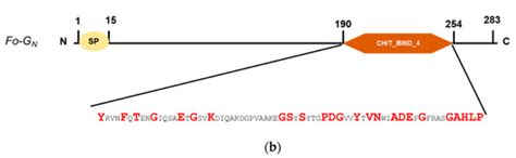 Insects | Topical Collection : Insect Immunity: Evolution, Genomics and ...