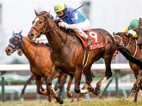 【AJCC予想】気象予報士の激走予報！ 冬の中山で狙える「穴馬」とは | 競馬ニュース - netkeiba