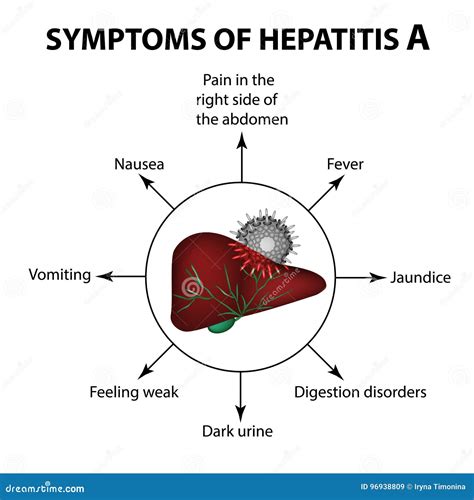 Hepatitis A Virus Symptoms Hepatitis A Infection Signs & Symptoms,