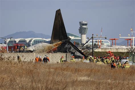 Plane bursts into flames after skidding off runway at airport in South Korea, killing 62 people ...