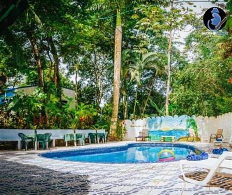 HOTEL MONO AZUL (Quepos) - Hotel Reviews, Photos, Rate Comparison ...