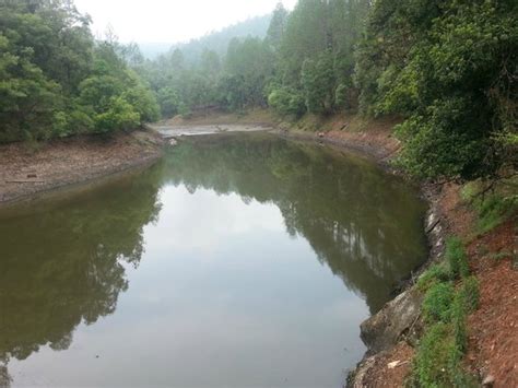 Ranikhet Tourism (2024): All You Need to Know Before You Go