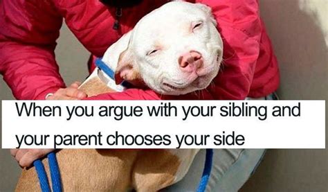 Chat with Bing Meme 的图像结果