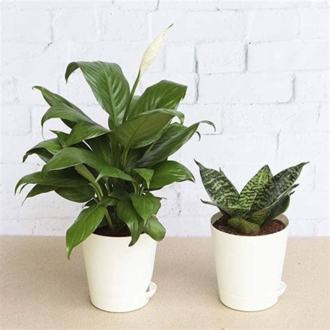 Products To Make Your Work From Home Space Feel Cosier