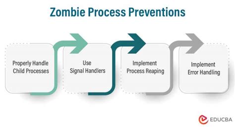 Zombie Process 的图像结果