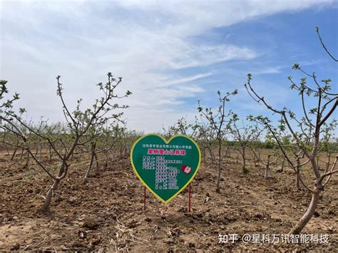 基本农田种植果树？立即停止并恢复地貌！ | 赣州市自然资源局