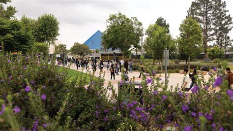 California State University, Long Beach