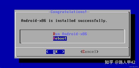 VMware Tools Android 的图像结果