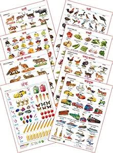 Spectrum Educational Mini Wall Chart (Set of 8) : (Animals, Birds, Wild ...