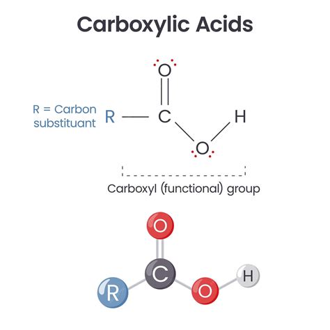 Premium Vector | Carboxylic acid chemical functional group scientific ...