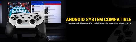 Ant Esports GP310 Wireless Gamepad, Compatible for PC & Laptop (Windows ...