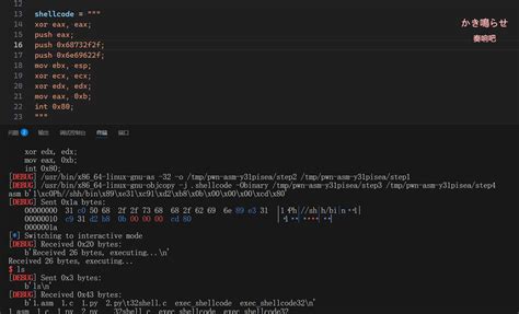ASM Shellcode 的图像结果