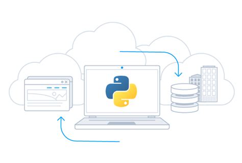 Python Life Salesforce 的图像结果