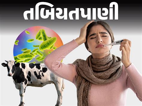 Brucellosis threat after mumps, Chandipura in Gujarat