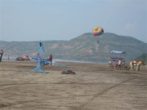 EXOTICA BEACH RESORT - DIVE AGAR (Shrivardhan, Maharashtra) - Specialty ...