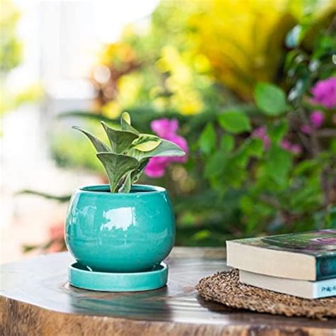 Artmansha Pepero Round Ceramic Planter with Plate | Table Top Plant Pot ...