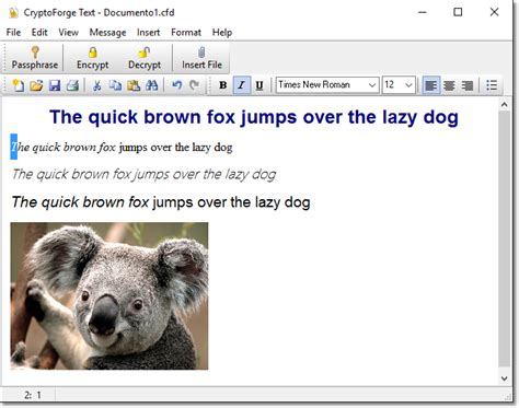 Image result for Data Encryption Software