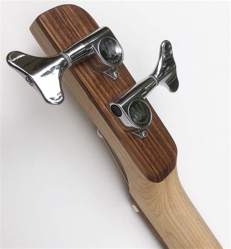 Image result for 2 String Guitar