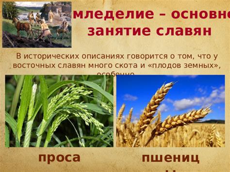 "Хозяйство и уклад жизни восточных славян". Презентация к уроку истории ...