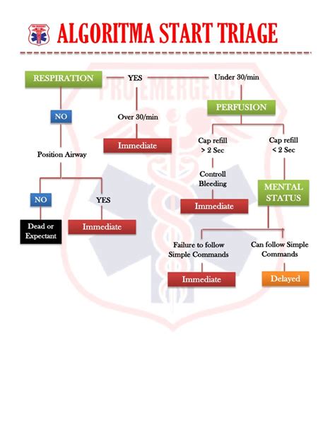 Start Triage Algorithm 的图像结果