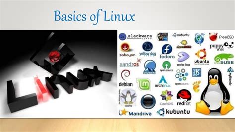Image result for Linux OS Basics