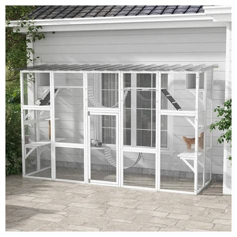 Image result for Best Cat Window Boxes