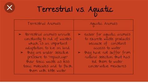 different between aquatic and terrestrial animals - Brainly.in