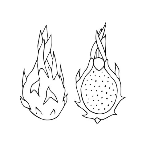 Vector dessiné à la main croquis croquis fruit du dragon | Vecteur Premium