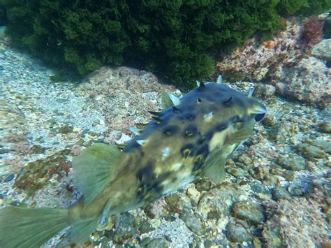 THE BEST Places to Visit in Matauri Bay (2026) - Must-See Attractions