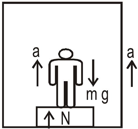 Laws Of Motion - Free NEET Physics Notes