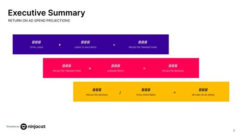 Executive Summary Report Example | Executive Report Template