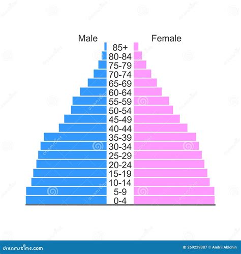 Population Pyramid or Age Structure Diagram Template Isolated on White ...