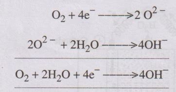 Fuel Cells - Definition, Working Principle, Cell reactions ...