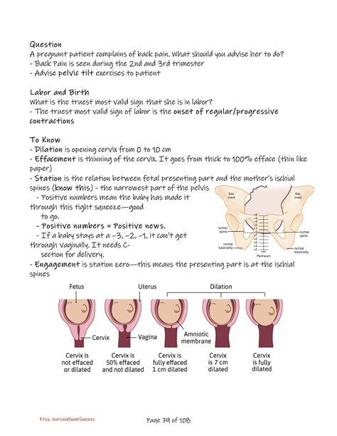 Mark Klimek Blue Book – Complete NCLEX Notes, Topics & Study Tips