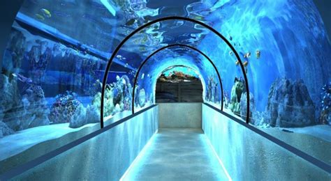 Океанариум в Киеве Морская сказка: цена, как доехать, фото - Planet of ...