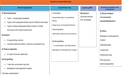 The Different Surgical Strategies for Treating Tuberous Breast Deformity: A Scoping Review ...