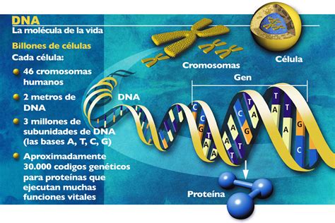 Image result for Alien Hominid HD