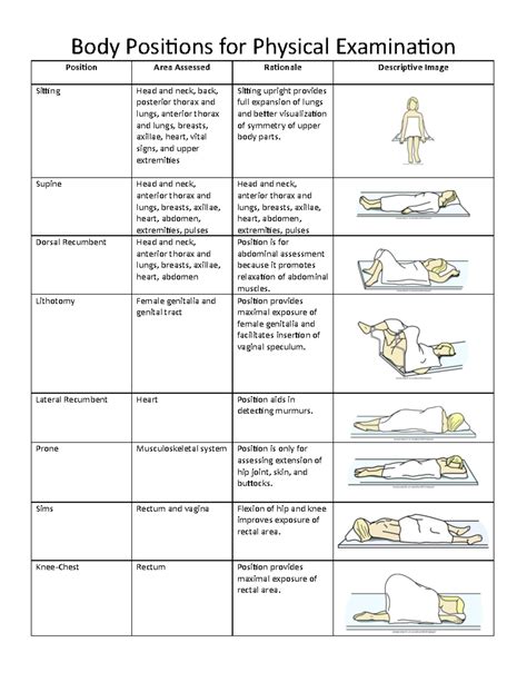 Knee Chest Position Examination