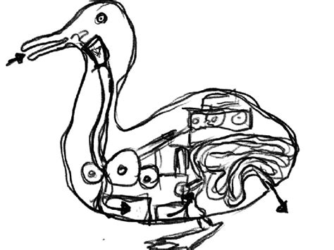 Image result for Digesting Duck