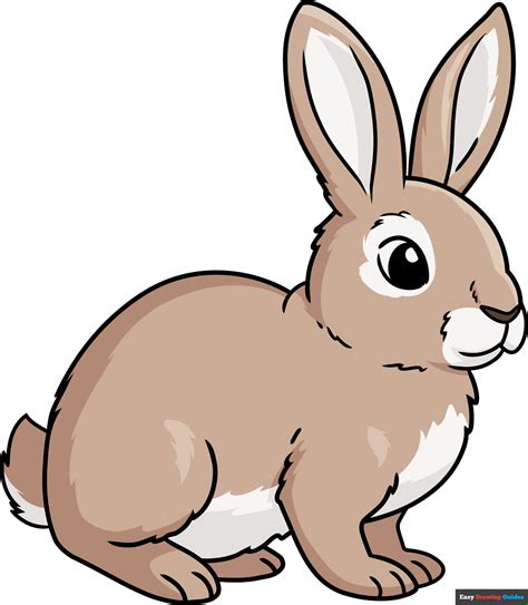 Video Of Drawing A Rabbit at Kevin Conger blog