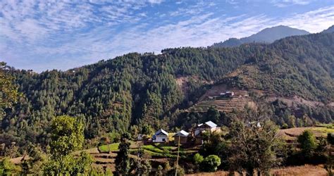 Greenhood Nepal – for people and wildlife