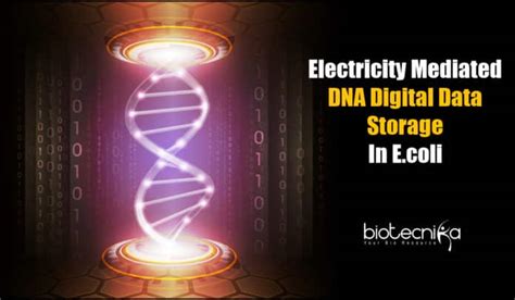 DNA digital data storage Data Encoding 的图像结果