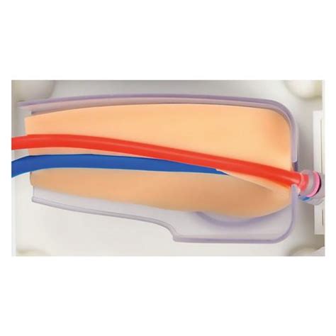 Femoral Vascular Access Trainer Advanced | 1026904 | Surgmate | FVA-B02 ...