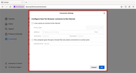 RUNNING TOR BROWSER FOR THE FIRST TIME | Tor Project | Tor Browser Manual