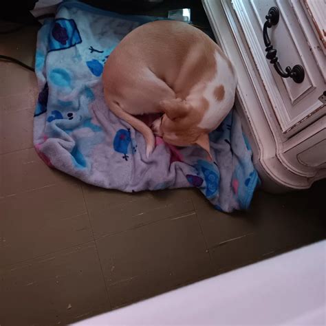 Wanda Bonilla (@wandabonilla473) • Instagram photos and videos