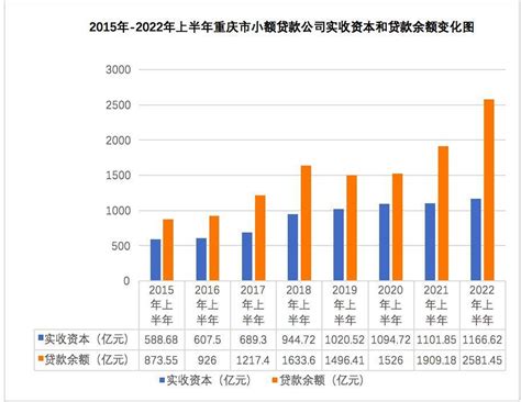 中小企业小额贷款市场分析报告_2019-2025年中国中小企业小额贷款市场深度研究与投资战略报告_中国产业研究报告网