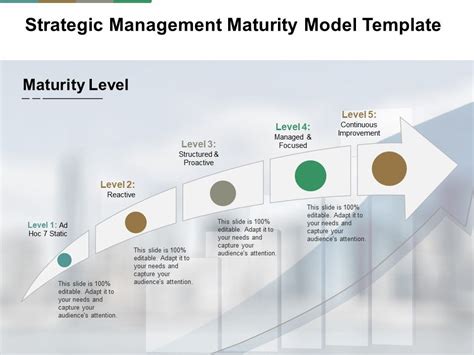 Image result for Strategy Evolution Maturity Model