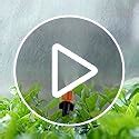 APPSTER Plastic Drip Irrigation Misting Nozzles with Tee Adjustable ...